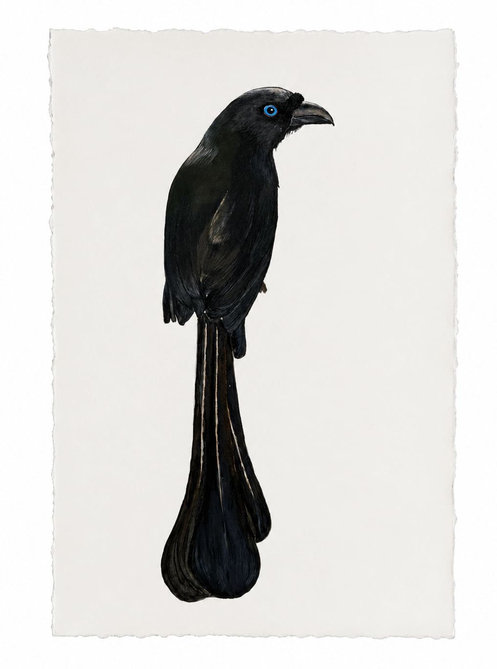 Iridescent Crow, 2024 image 1