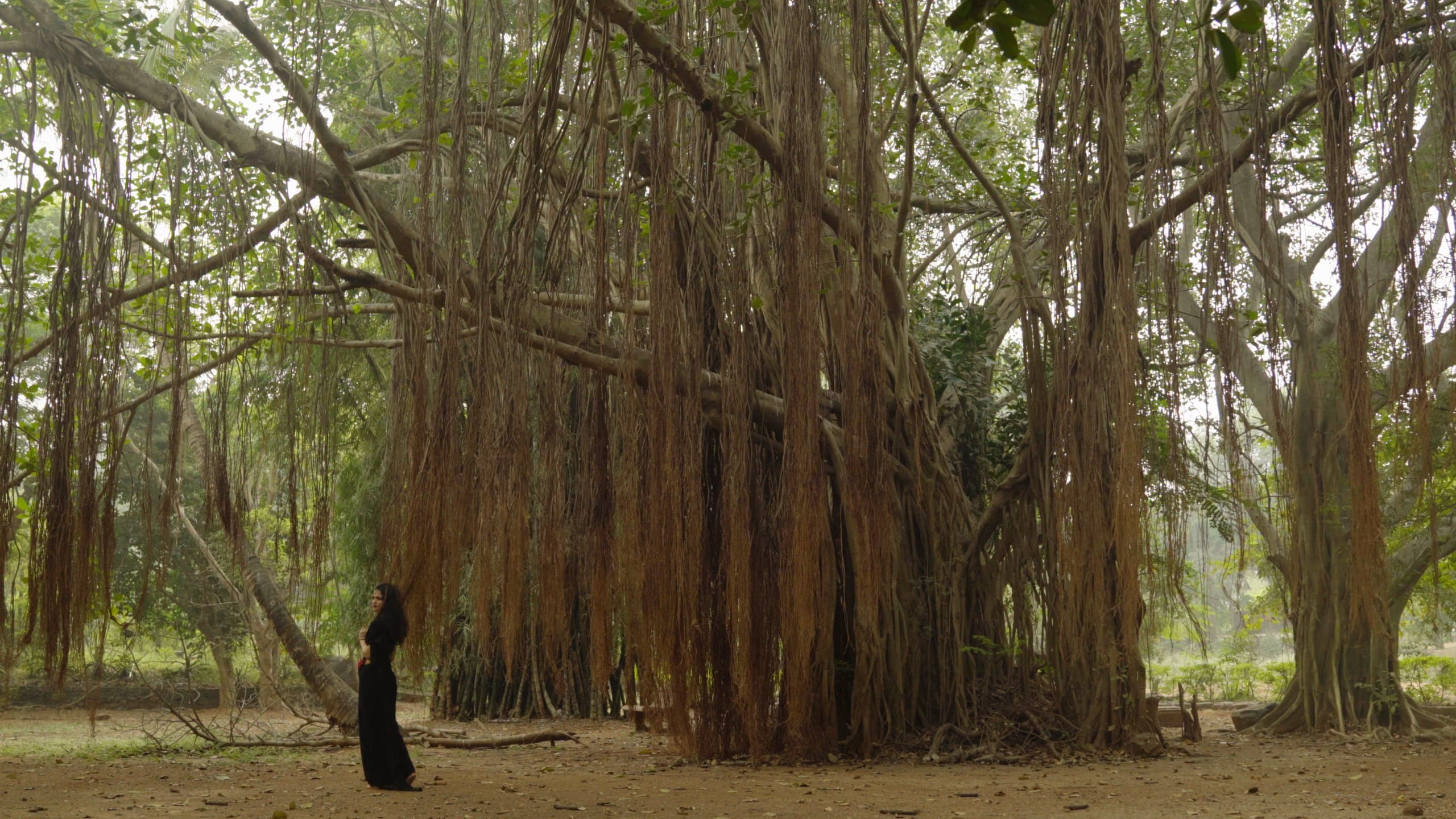 Lumen, film still, 2019–2021 image 1