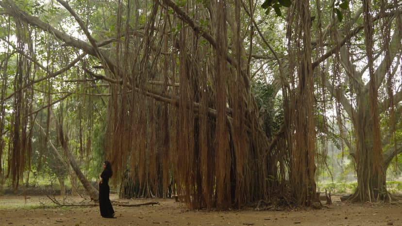 Lumen, film still